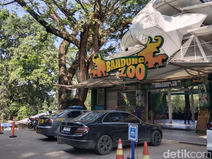Suasana Bandung Zoo