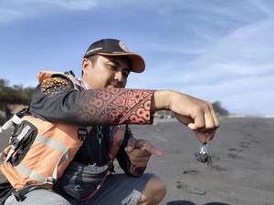 Hati-hati Dab! Ubur-ubur Mulai Bermunculan di Pantai Kulon Progo