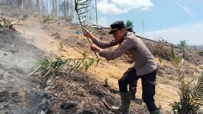 Aparat gabungan polisi, TNI hingga BPBD berjibaku memadamkan api di Rokan Hulu dengan peralatan seadanya, Sabtu (19/7/2025).