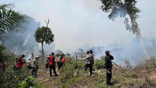 Aparat gabungan polisi, TNI hingga BPBD berjibaku memadamkan api di Rokan Hulu dengan peralatan seadanya, Sabtu (19/7/2025).