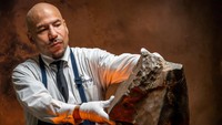 Seorang petugas menata meteorit NWA 16788, potongan Mars terbesar yang diketahui di Bumi, saat pratinjau pers lelang Sejarah Alam Sotheby’s di New York City, AS. Foto: REUTERS/Eduardo Munoz