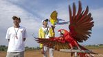 Dari Bengkel ke Langit: Kisah Albi dan Pasukan Parrotnya