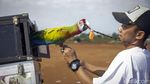 Dari Bengkel ke Langit: Kisah Albi dan Pasukan Parrotnya