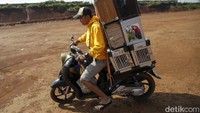 Mereka sering ikut lomba dengan berbagai kategori seperti obedience (3 menit), solo performance (15 menit), aksi berkelompok alias flock (lebih dari 10 menit), bahkan long duration selama berjam-jam.