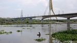 Demi Cuan, Warga India Berburu Harta Karun sampai ke Dasar Sungai