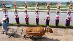 Jatiluwih Festival 2025: Rayakan Harmoni Budaya dan Alam di Bali