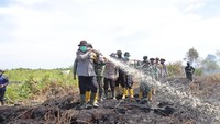 Kapolda Riau Irjen Herry Heryawan terjun langsung ke titik hotspot di Sei Gajah Induk, Kecamatan Kubu, Rohil. Tak hanya memberikan perintah, Irjen Herry Heryawan bersama TNI, BPBD, Damkar, Pemda setempat turun berjibaku memadamkan api yang meluas hingga 100 hektare sejak Sabtu (19/7/2025).