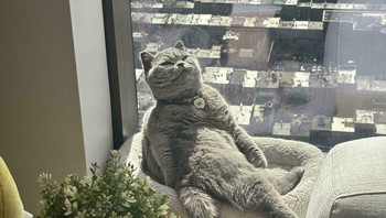 Santai dulu berjemur Matahari. Foto: via BoredPanda