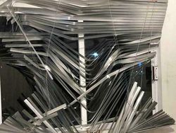 Foto-foto Kucing dari Lucu sampai Nyeleneh, Bikin Gemas!