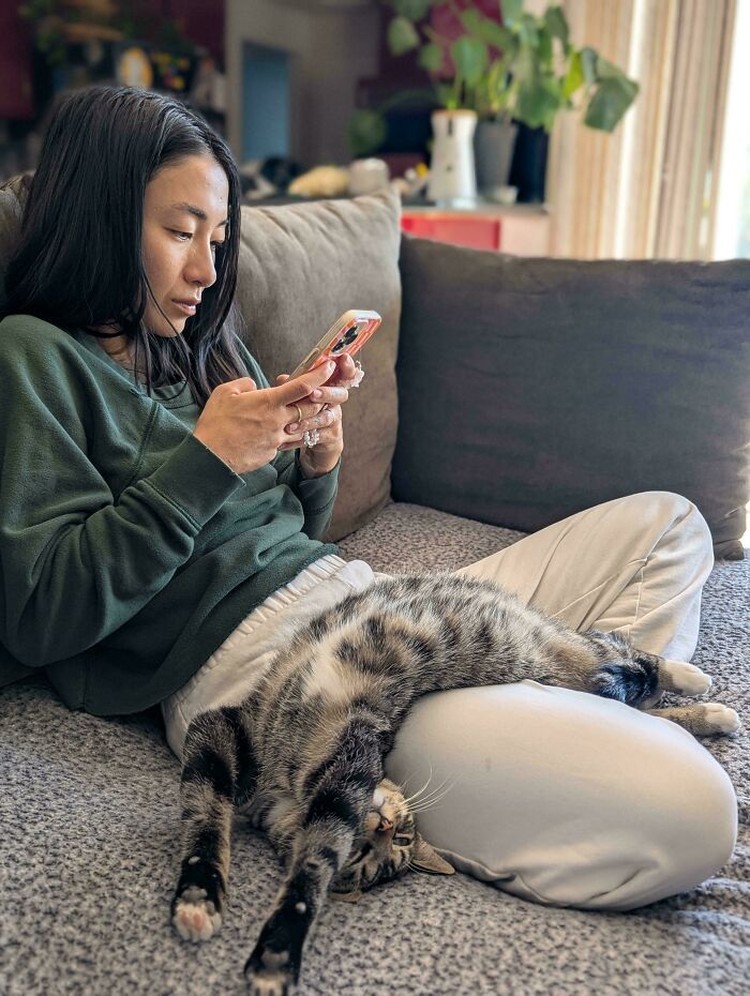 Kucing lucu