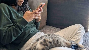 Manja banget maunya gelendotan. Foto: via BoredPanda