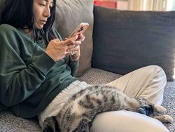 Foto-foto Kucing dari Lucu sampai Nyeleneh, Bikin Gemas!