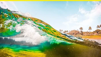 Cumi-cumi raksasa memiliki salah satu mata terbesar di kerajaan hewan. Jika menghadap ke depan, penglihatan mereka dapat disamakan dengan teropong. Berkat fotofora, mereka juga dapat menghasilkan cahaya untuk membantu melihat mangsa dalam gelap. Foto: via BrightSide