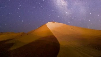 Kalajengking biasanya memiliki dua mata di bagian depan, tetapi tidak hanya itu: mereka bisa memiliki hingga lima pasang mata tambahan di bagian samping. Meskipun memiliki banyak mata, mata mereka tampaknya hanya mampu membedakan antara gelap dan terang, dan mungkin juga gerakan. Foto: via BrightSide