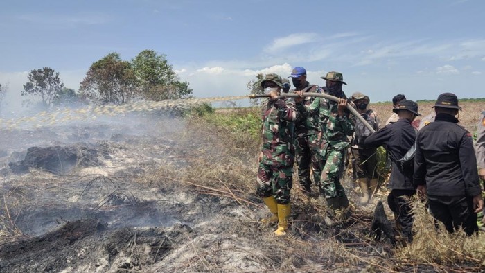 Penampakan lahan terbakar di Rohil. (Foto: Dok Dandim Rohil)