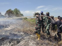 Ratusan Hektare Lahan di Rohil Terbakar, Dandim Ungkap Kesulitan Pemadaman
