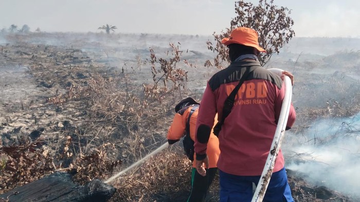 Petugas BPBD Riau memadamkan api di Rokan Hilir (Dok BPBD Riau)
