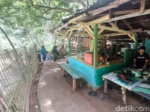 Nafas Pedagang Kecil di Tengah Rimbunnya Tahura Djuanda