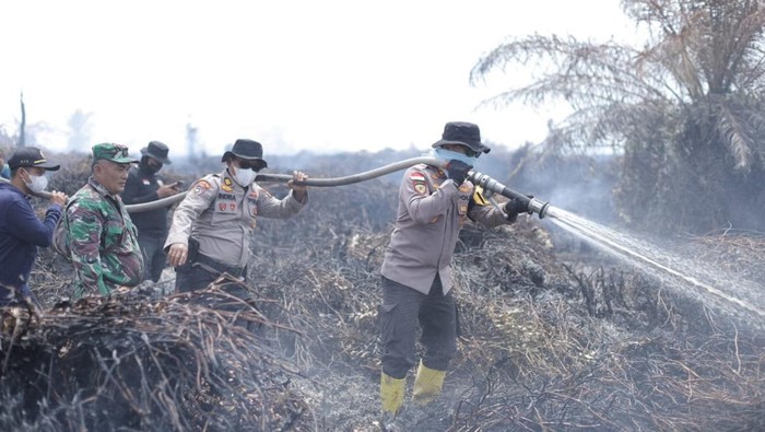 Aparat TNI dan Polri hingga Manggala Agni turun bahu membahu memadamkan api di lahan seluas 4 hektare, Minggu (20/7/2025).