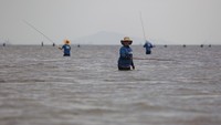Dengan pakaian seadanya, para peserta mulai dari anak-anak, pemuda, hingga orang dewasa, antusias menyusuri perairan dangkal di tengah sorak sorai penonton dan meriahnya suasana pantai. Gelak tawa dan teriakan semangat saling bersahutan saat satu per satu peserta berhasil menangkap ikan.ANTARA FOTO/Teguh Prihatna
