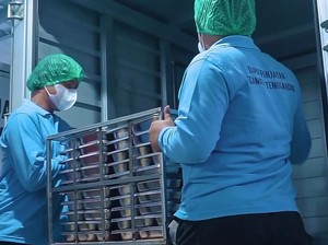 Gandeng UMKM Lokal, BRI Dukung Rantai Pasok Program MBG