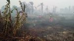 Potret Polri-TNI hingga Damkar Berjibaku Lawan Karhutla di Riau
