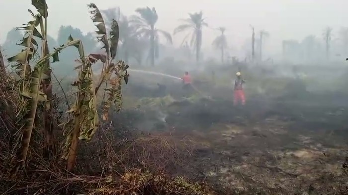 Damkar Kota Dumai ikut turun membantu pemadaman karhutla di Kabupaten Rokan Hilir, Provinsi Riau, Minggu (20/7/2025).
