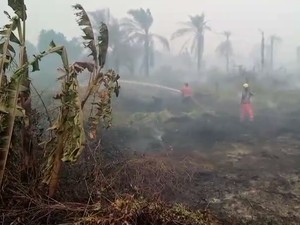 Karhutla di Riau Capai 927 Hektare, Rohul Terluas