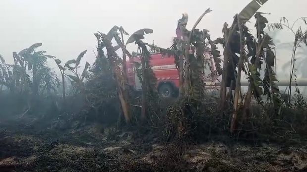 Damkar Kota Dumai ikut turun membantu pemadaman karhutla di Kabupaten Rokan Hilir, Provinsi Riau, Minggu (20/7/2025).