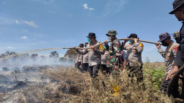 Potret Polri-TNI hingga Damkar Berjibaku Lawan Karhutla di Riau