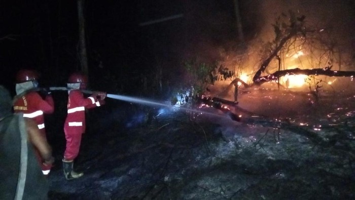 Kawasan Tahura STS Batang Hari Jambi terbakar