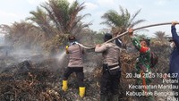 Tak hanya di Rohil, aparat gabungan Polri, TNI, BPBD, Mandala Agni dan warga juga bahu membahu memadamkan titik api yang muncul di Desa Petani dan Desa Pematang Pudu, Kecamatan Batin Solapan, Kabupaten Bengkalis. Dengan peralatan yang ada, aparat gabungan memadamkan api tanpa henti.