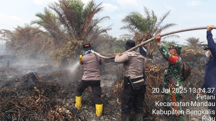 Kerja sama Polri dan TNI serta unsur lainnya juga terlihat dalam pemadaman karhutla di Kecamatan Mandau, Kabupaten Bengkalis. Kerja sama Polri dan TNI serta unsur lainnya juga terlihat dalam pemadaman karhutla di Kecamatan Mandau, Kabupaten Bengkalis, Minggu (20/7/2025).