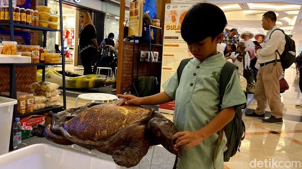 Kura-kura Belawa Cirebon nongkrong di mall Bandung.
