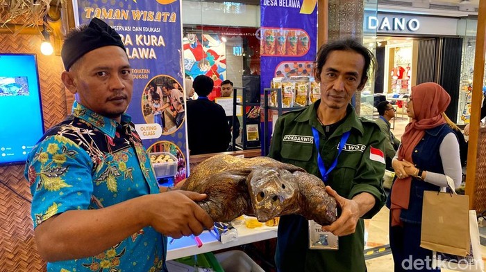 Kura-kura Belawa Cirebon nongkrong di mall Bandung.