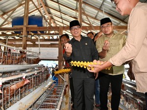 Mendes Yandri Panen Melon-Telur Ayam Garapan BUMDes Karya Mandiri di Sragen