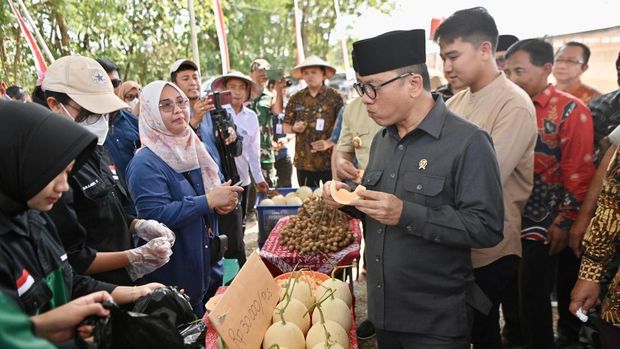 Mendes PDT Yandri Susanto saat memanen melon, kelengkeng, dan telur ayam hasil garapan BUMDes Karya Mandiri di Desa Kaliwedi, Kecamatan Gondang, Kabupaten Sragen.