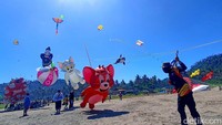 Ada tiga jenis lomba yang dipertandingkan dalam festival ini, di antaranya layang-layang gapangan arsir, layang-layang gapangan motif dan layang-layang aduan atau combat.
