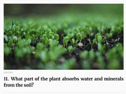 Ngaku Jago Sains? Coba Kamu Jawab Tebak-tebakan Ini