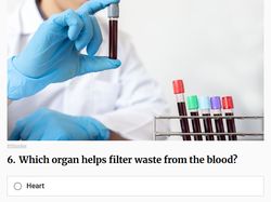 Ngaku Jago Sains? Coba Kamu Jawab Tebak-tebakan Ini