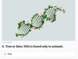 Ngaku Jago Sains? Coba Kamu Jawab Tebak-tebakan Ini
