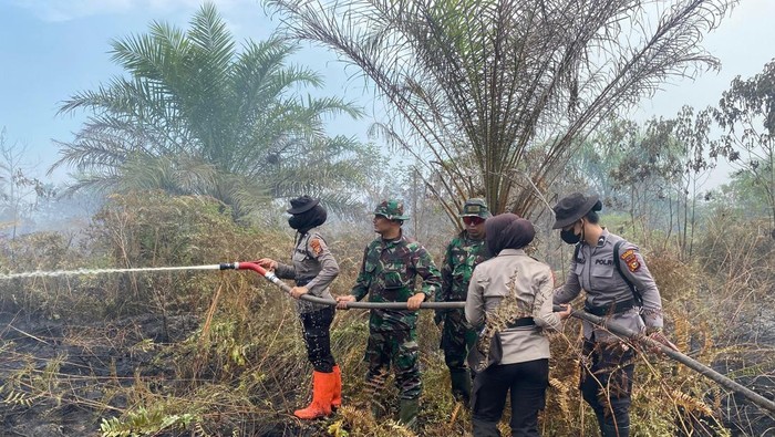 Polisi dan TNI bahu memadamkan api karhutla di Rumai, Minggu )20/L/ (20/7/2025)