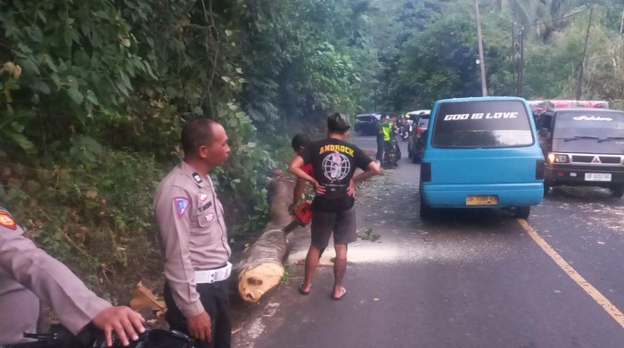 Polisi mengatur lalu lintas di lokasi pohon tumbang yang timpa pemotor di Tomohon.