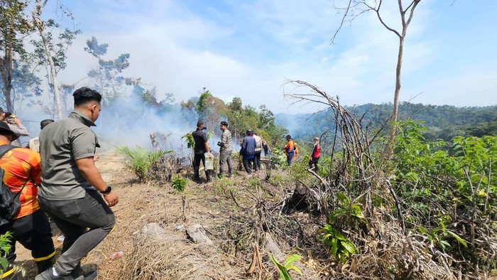 Polres Kampar menangkap seorang warga usai membakar 10 hektare lahan, Sabtu (19/7/2025).