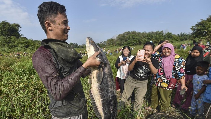 Foto udara sejumlah warga melakukan bekarang atau menangkap ikan bersama menggunakan alat tangkap tradisional di lubuk larangan Lopak Sepang, Desa Tebat Patah, Muaro Jambi, Jambi, Minggu (20/7/2025). Desa Tebat Patah yang sebagian wilayahnya masuk dalam Kawasan Cagar Budaya Nasional (KCBN) Muarajambi secara turun temurun masih mempertahankan tradisi bekarang setiap tahunnya yang diikuti sekitar dua ratus warga dari beragam tingkatan usia. ANTARA FOTO/Wahdi Septiawan