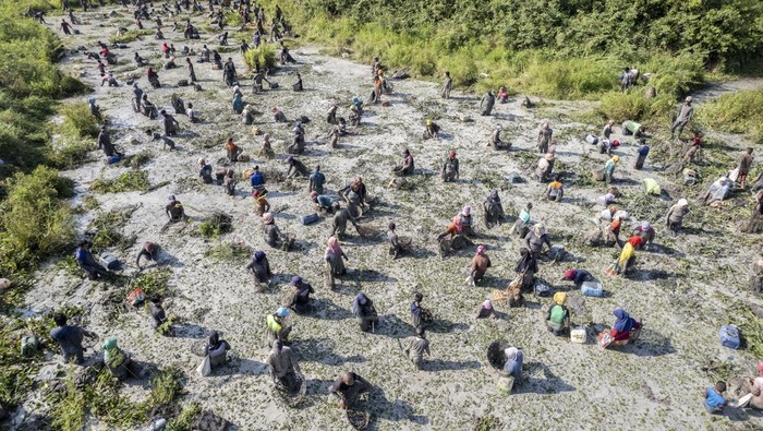 Ratusan Warga Meriahkan Tradisi Bekarang di Muaro Jambi Foto udara sejumlah warga melakukan bekarang atau menangkap ikan bersama menggunakan alat tangkap tradisional di lubuk larangan Lopak Sepang, Desa Tebat Patah, Muaro Jambi, Jambi, Minggu (20/7/2025). Desa Tebat Patah yang sebagian wilayahnya masuk dalam Kawasan Cagar Budaya Nasional (KCBN) Muarajambi secara turun temurun masih mempertahankan tradisi bekarang setiap tahunnya yang diikuti sekitar dua ratus warga dari beragam tingkatan usia. ANTARA FOTO/Wahdi Septiawan