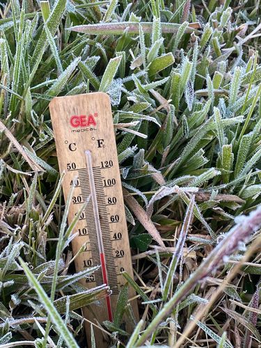 Penampakan embun es yang menebal akibat suhu Dieng mencapai minus 3 derajat Celsius, Minggu (20/7/2025) pagi.