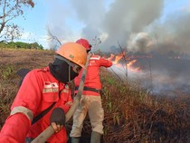 20 Hektare Lahan Sawit Siap Panen di Empat Lawang Ludes Terbakar