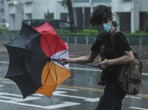 BMKG Imbau Sebagian Wilayah Kalimantan Waspada Angin Kencang