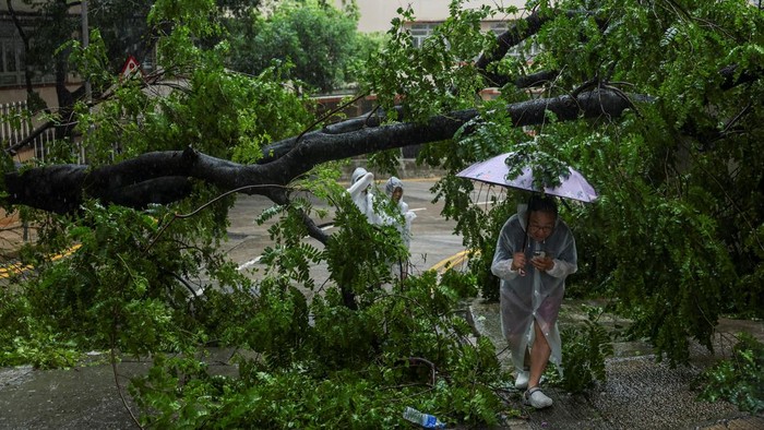 Topan Wipha Terjang Hong Kong, Warga Bertahan di Tengah Badai Topan Wipha melanda wilayah Hong Kong pada Minggu (20/7/2025), disertai hujan deras dan angin kencang yang memaksa aktivitas kota nyaris lumpuh. Sejumlah pohon tumbang menutup jalanan, sementara pejalan kaki terpaksa berjalan tertatih di tengah badai, berusaha melindungi diri dengan payung yang tak mampu menahan kuatnya tiupan angin. REUTERS/Tyrone Siu